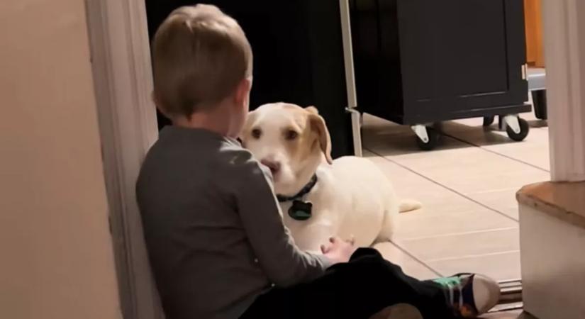 Elszökött a kutya: amit a kisfiú mond neki, amikor visszatér, megolvasztja a szíveket