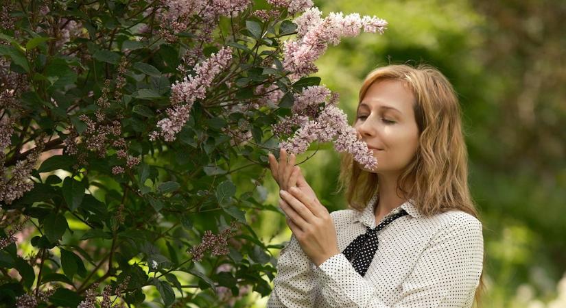 Amikor egy illat hazavisz – növények, emlékek és a kert csendes emlékezete