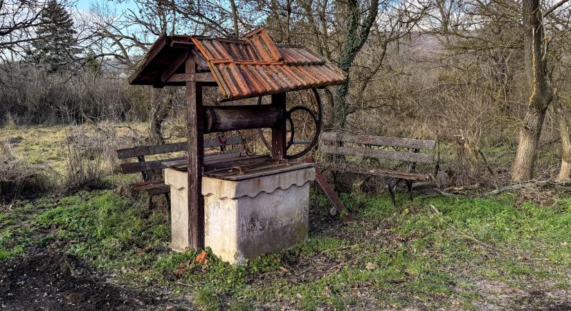 A kerti kutak korának vége kell legyen – már a magyar gazdaságot szárítjuk ki egy friss tanulmány szerint
