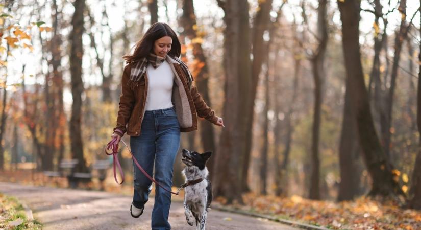 Sokan így sétáltatják a kutyájukat, pedig komoly bírság járhat érte