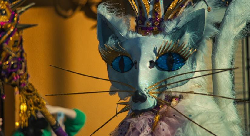 Pek-Snack: Farsangkor tarolhat a barackos fánk – a karácsonyt azonban már nem csak a mákos bejgli uralta