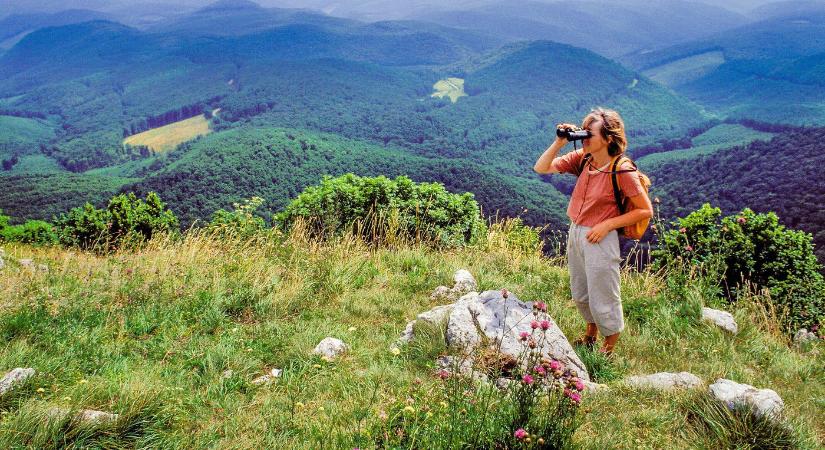 Leszállt a Mátrában valami egészen elképesztő az égből, az ország teljesen megőrül, kamera rögzítette a példátlan látványosságot