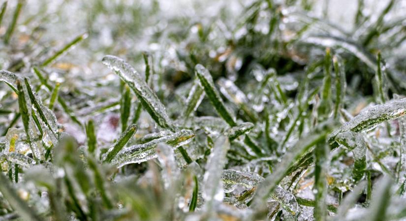 Jeges csapda – miért ennyire veszélyes az ónos eső?