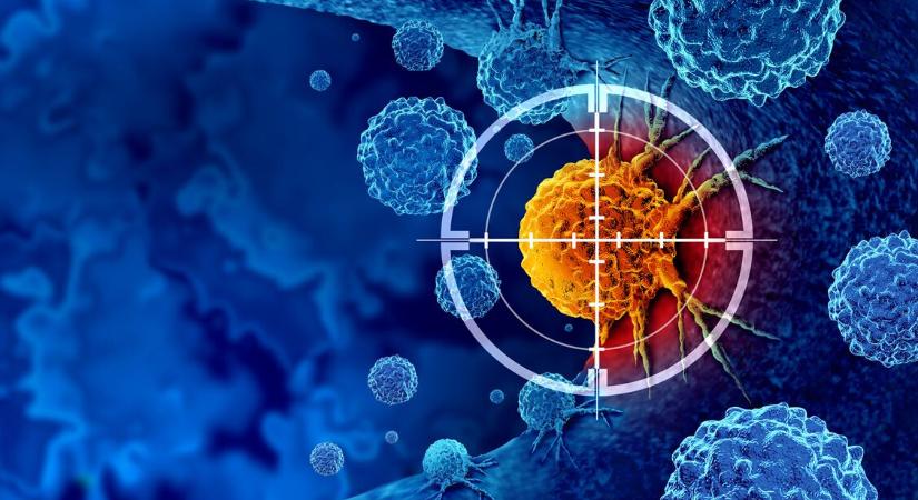 Így zajlik a 300 millió forintos CAR-T terápia: a hároméves Liza immunrendszerével győznék le a rákot