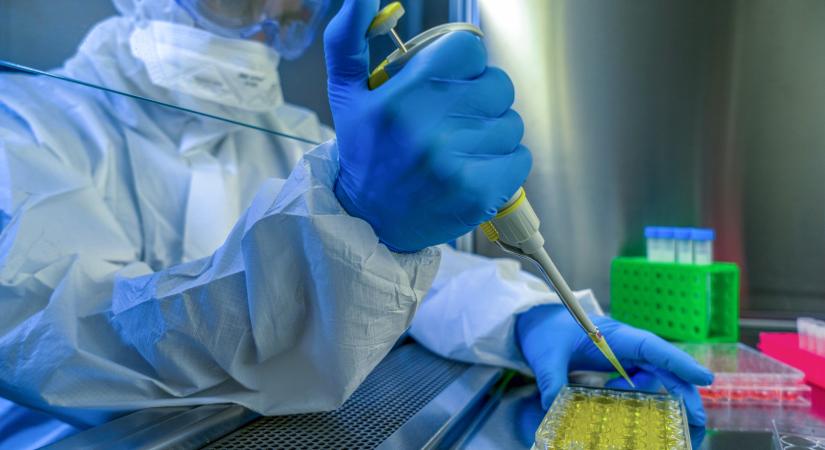 Terjed a halálos vírus: most nem várt helyről jöhet a segítség