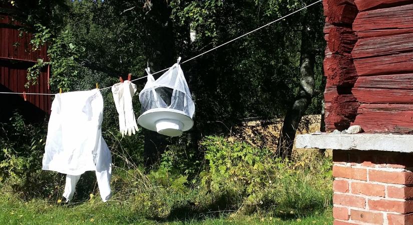 Eltűntek a nagy játékosok, új arcát mutatta ez az ágazat