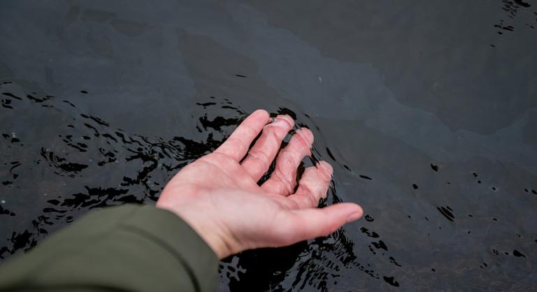 Továbbra is olajos víz folyik a Rákos-patakban, már a Dunát is elérhette a szennyeződés