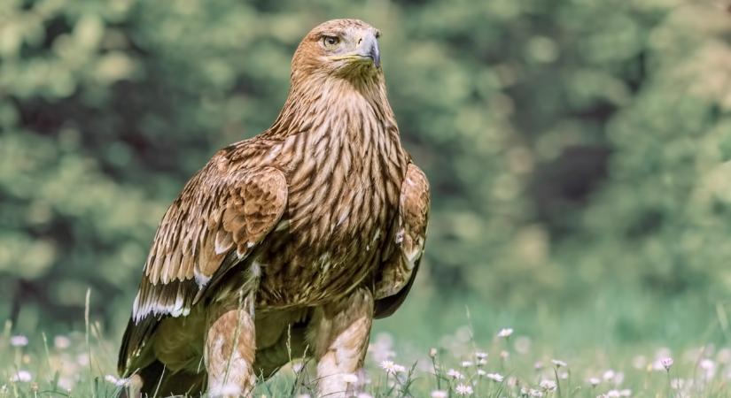 Elképesztő jól járt, aki időben szállt be: bődületes rekordon az egyik legnépszerűbb befektetés, mi folyik itt?