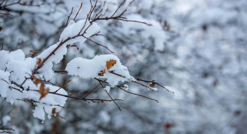 Milyen lesz az időjárás februárban? – A meteorológiai szolgálat válaszolt