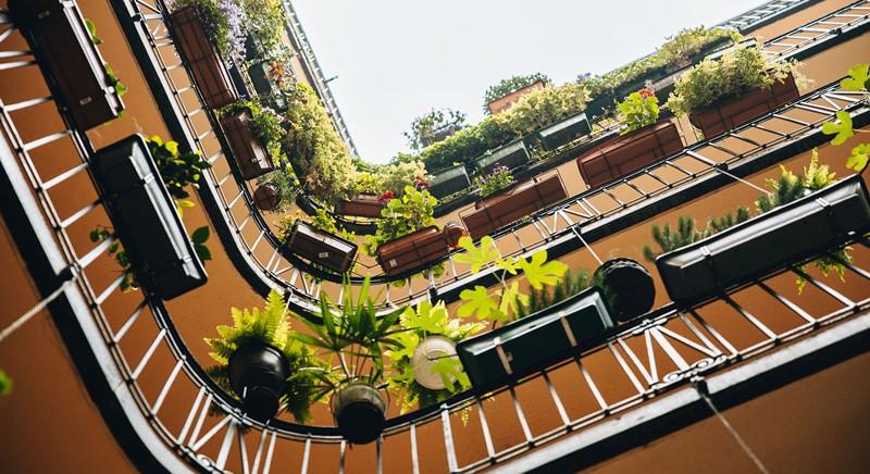 Udvarzöldítési pályázatot írt ki a Főváros