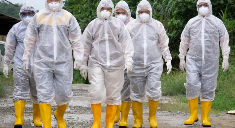 A Covid után újabb horrorvírus terjed – rendkívül magas a halálozási arány