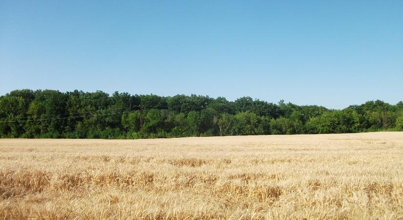 Mennyivel volt olcsóbb a romániai szántóföld az uniós átlagnál?