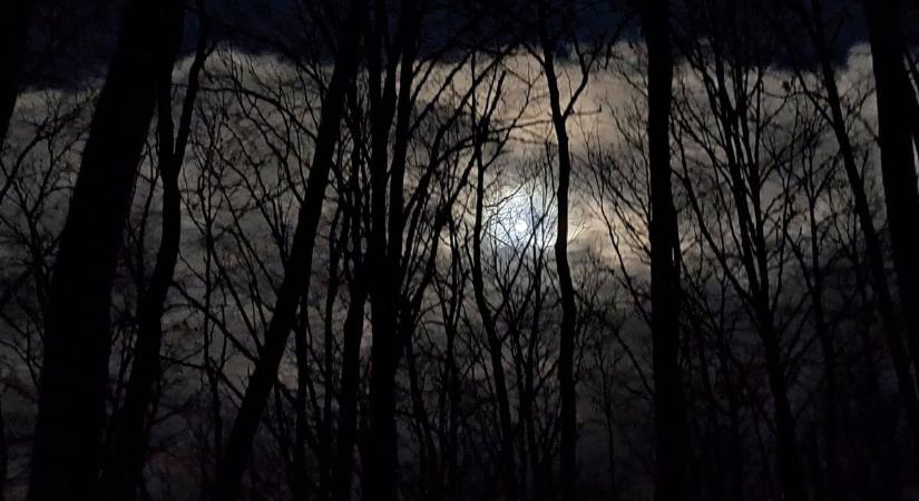 Bükki Kihívás: idén 493-an vágnak neki az éjszakai teljesítménytúrának