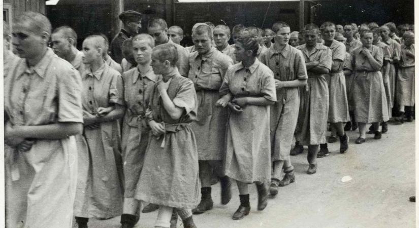 Megrendítő dokumentumfilmekkel emlékezik a Viasat History