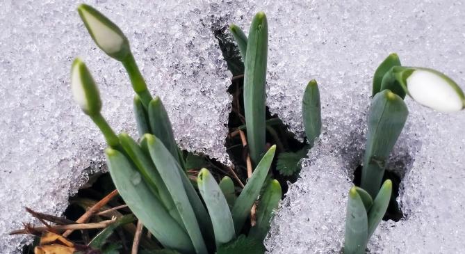 Hullámvasútra fog emlékeztetni az elkövetkező egy hét időjárása