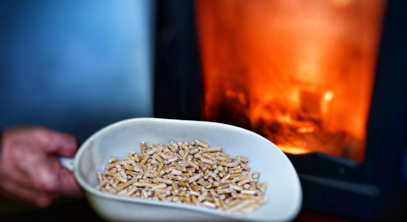 Sok gazda későn jön rá, hogy baj van: pedig könnyen meg lehetne úszni