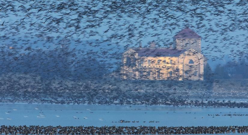 Tatai Vadlúd Sokadalom 2026