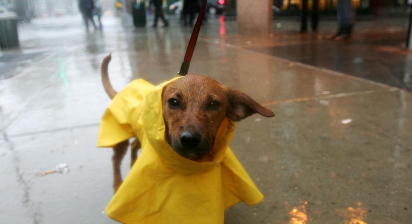 Ez vár ránk a héten: eső, aztán hideg