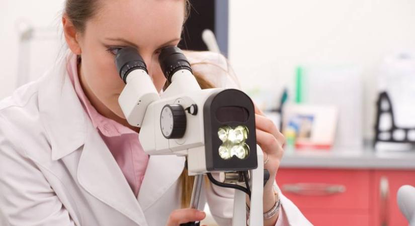 Arzénszennyezés gyanúja miatt indított vizsgálatot a Nébih: kiderült, hogy ezt biztonságos-e megenni