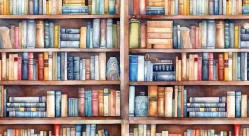 Kiemelkedő képességeid vannak, ha 7 másodperc alatt megtalálod az elrejtett kulcsot a könyvespolcon