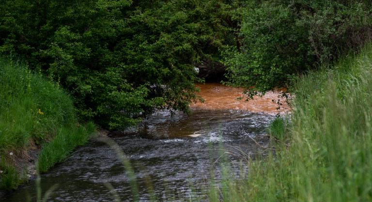 Elmúlt a veszély, biztonságosan el lehet fogyasztani a Sajóból kifogott halakat