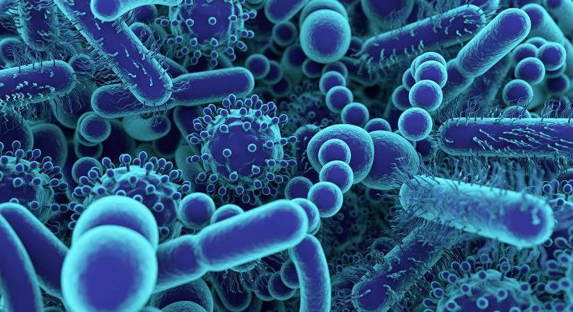 Mit árul el a leheletünk a bélbaktériumainkról?