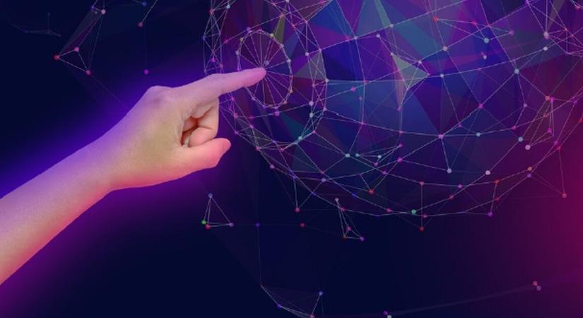 CMO TRENDRIPORT 2026