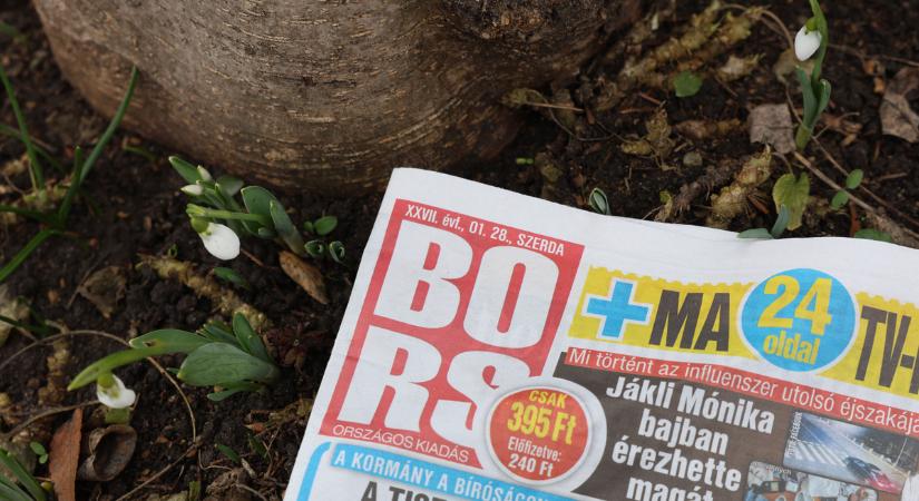 Hóvirágok: a nagy havazás után előbújtak a kertekben az első példányok