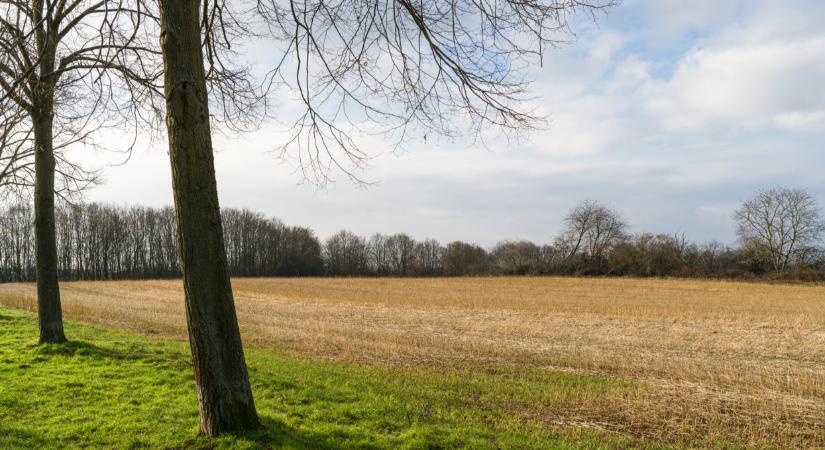 Ez komoly? Ennyibe kerül most egy hektár föld itthon és az EU-ban