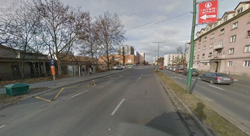 Nyomravezetői díj: a Pécsre tartó távolsági busz lehet a kulcs az állatkínzó megtalálásában