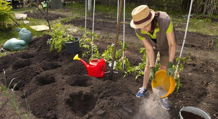 Sokan kidobják, pedig kincs a kertben – az egri kertész elmondja, hogyan használjuk