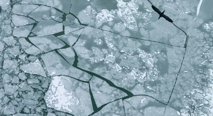 „Végignéztem, ahogy küzdenek” – az anya három fia fulladt meg a jeges tóban