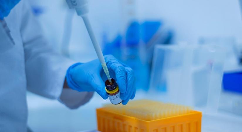 Ürülékből készítettek gyógyszert