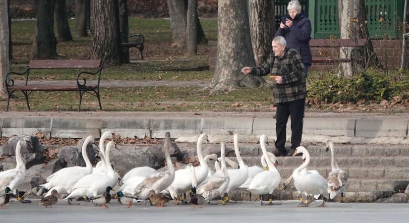 Reggel még eső, délután meglepetés – Ilyen lesz a mai időjárás Veszprémben (képek  videó)