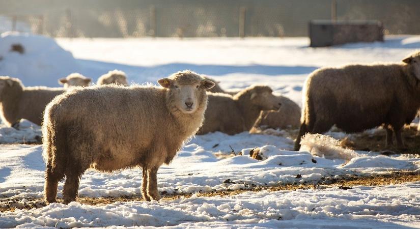 3 napos időjárás: Unod a nyirkos időt? Így fordulunk rá a hétvégére!
