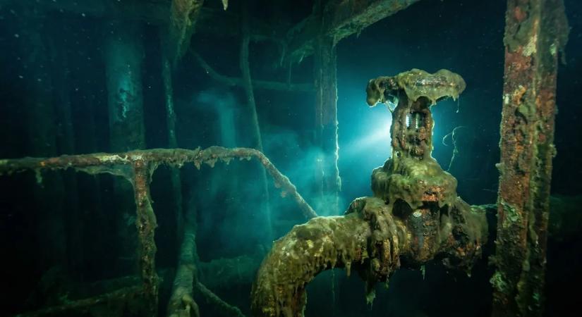 Mindenki szörnyekre számított, de az igazság meglepőbb: ezt rejtette a fukusimai atomerőmű sugárzó vize