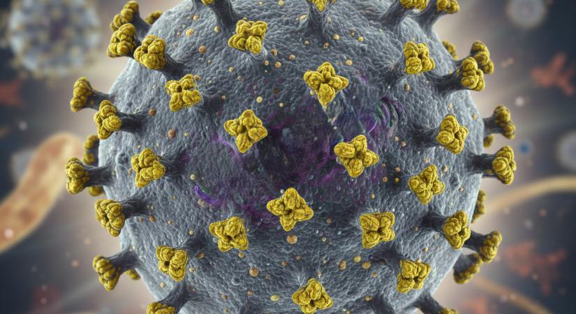 Riadókészültség Ázsiában a Nipah-vírus miatt