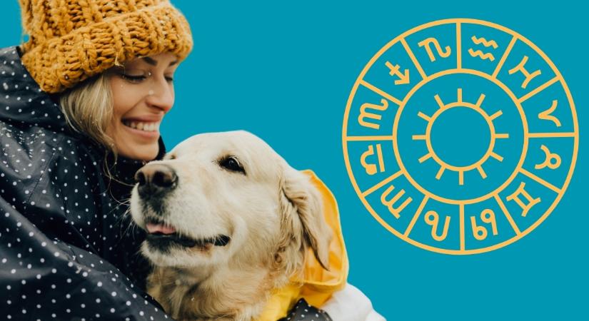 3 csillagjegy végre megcsinálhatja a szerencséjét