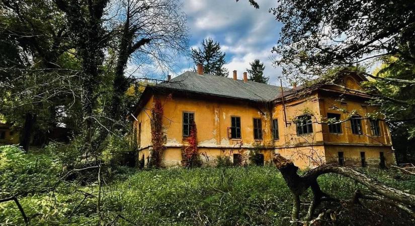 Időkapszula a fák között: elhagyatott kastélyra bukkantak az urbexesek Baranyában (GALÉRIA)
