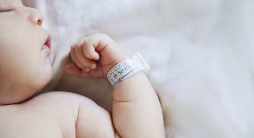 Buborka, Akilina, Jelek: melyik nem igazi név?