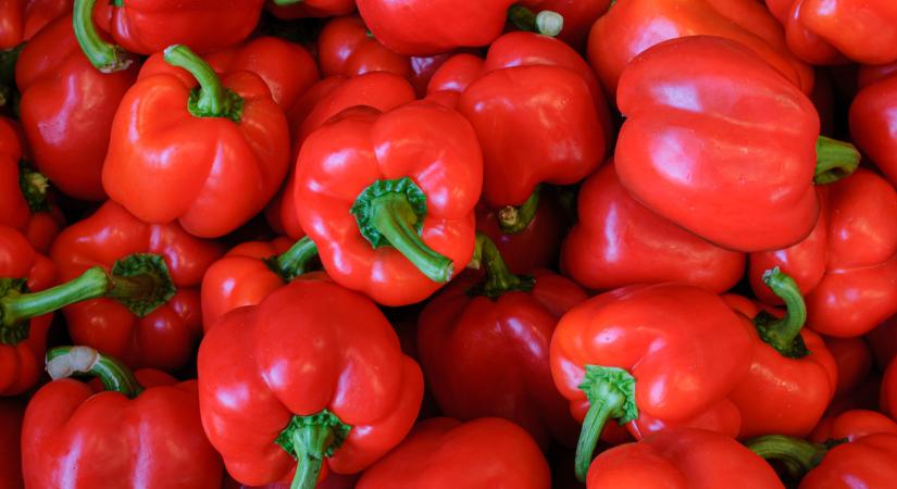 Betett a paprikának a vírus: sokan már inkább ezt termelik helyette