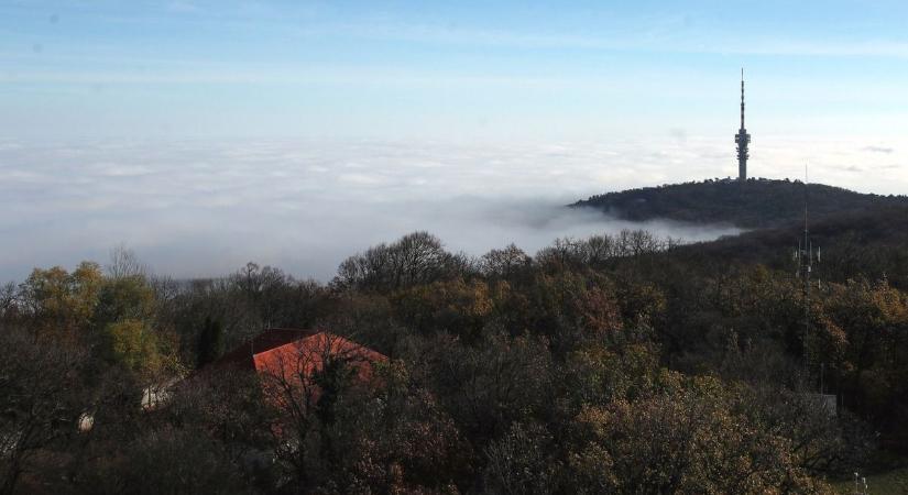 Egészségügyi kockázat: erre számíts Baranyában!