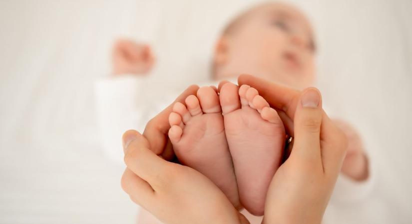 Kecskeméti anyakönyvi hírek, 4. hét