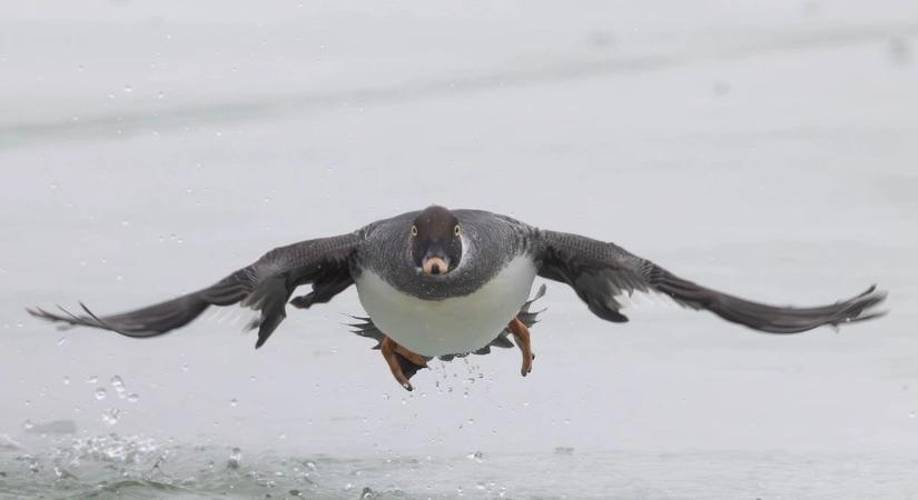 Borult, esős lesz a csütörtök