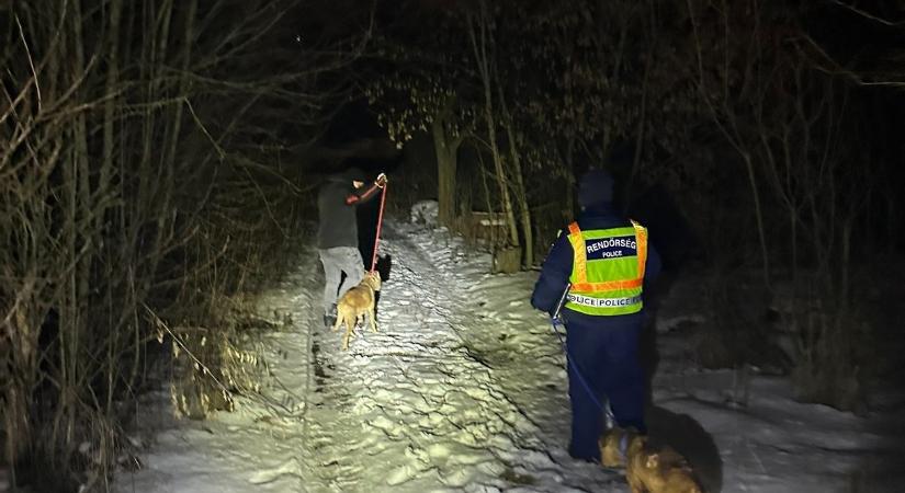 Két láncra kötött, fagyoskodó kutya miatt nyomoz a rendőrség