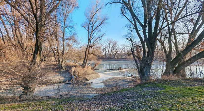 Ez látszik most a Dunán Dunaújvárosnál