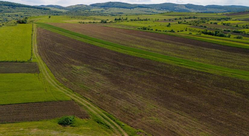 Hihetetlen, de igaz: a nem termelő terület most pénzt hoz