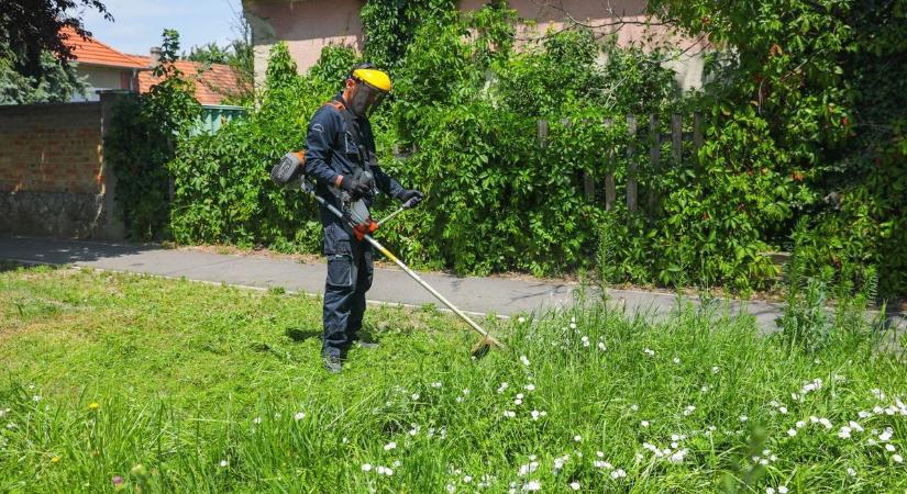 Enyém, tiéd? Miénk! Ingyen tiéd lehet a balatoni nyaraló, ha 15 évig felé sem néznek?