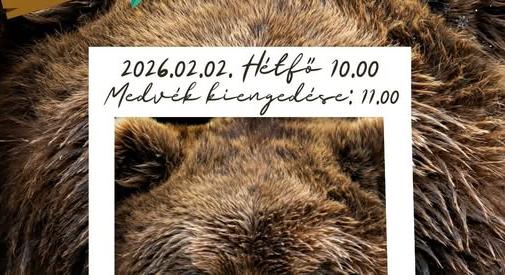 Medvelesre várják a látogatókat a Szegedi Vadasparkba