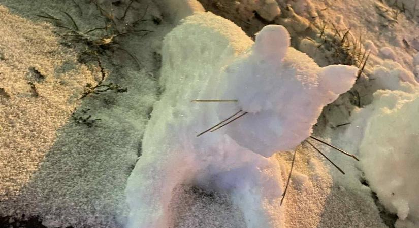 Az egri városvezetés szerint jól kezelték a hóhelyzetet, még katasztrófa sem történt!